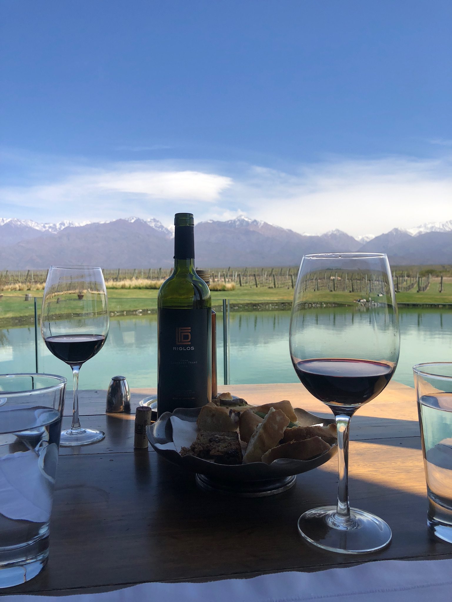 Mendoza wine country with Andes